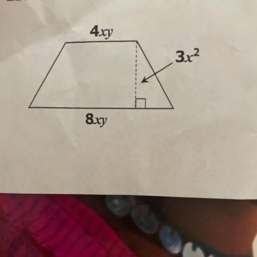 How do i find the answer to this?