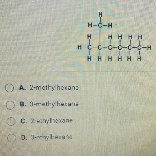 Which molecule is shown below￼