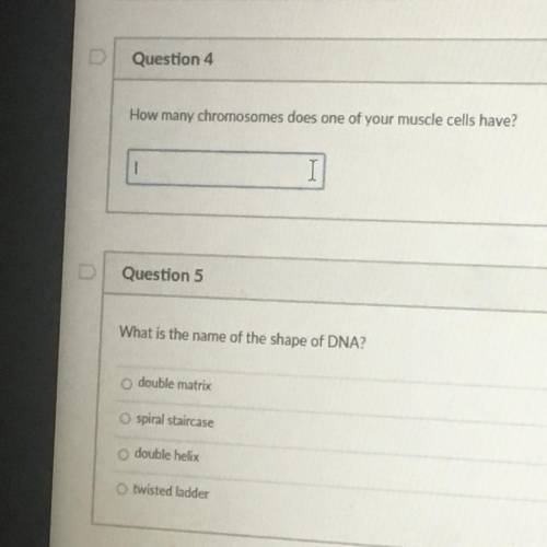 Please help me with this test. It’s based on DNA and Meiosis