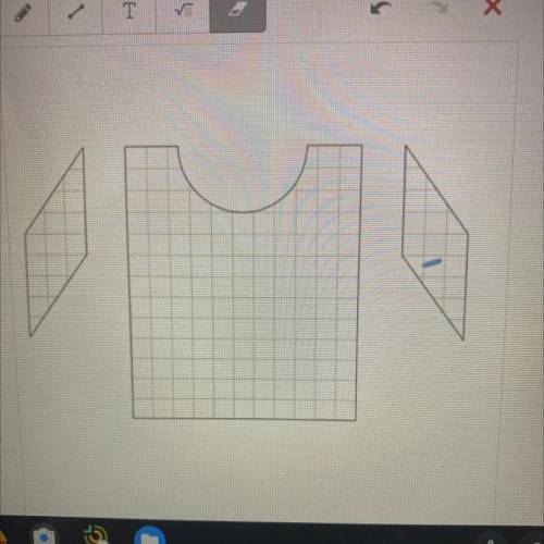 HELP PLZZZ

gina designs and makes her own clothes. she drew the diagram at right of the fabric sh