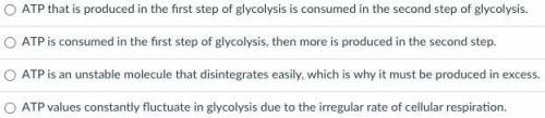 When tracking ATP production in glycolysis, there are points where ATP levels show a slight decreas