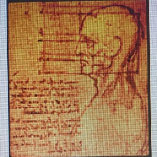 What does this sketch, drawn by da Vinci, tell you about what he was studying?

a. Military Weapon