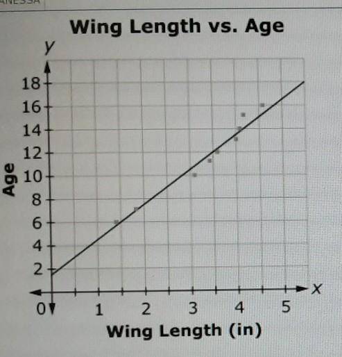 Wing Length vs. Age у 18 16 14 12 10 Age 6 ONA O 00 X 5 07 1 2 3 4 Wing Length (in) The y-intercept