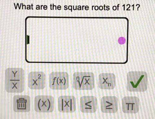 What are the square roots of 121? (i already tried 11 and it said it was incorrect)