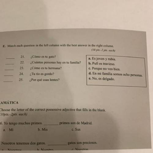 Pls help ez points for Spanish