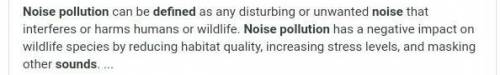 11) What is sound pollution?​