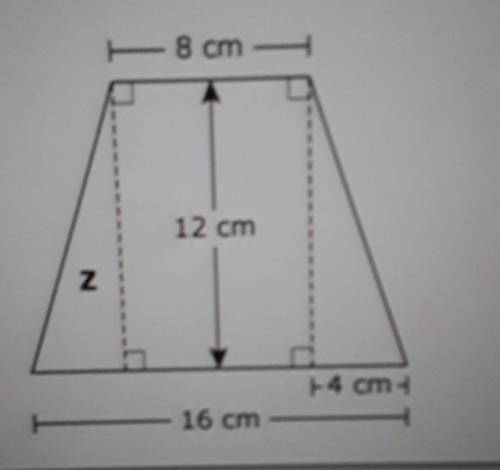 What is the area, in square centimeters, of triangle Z?​