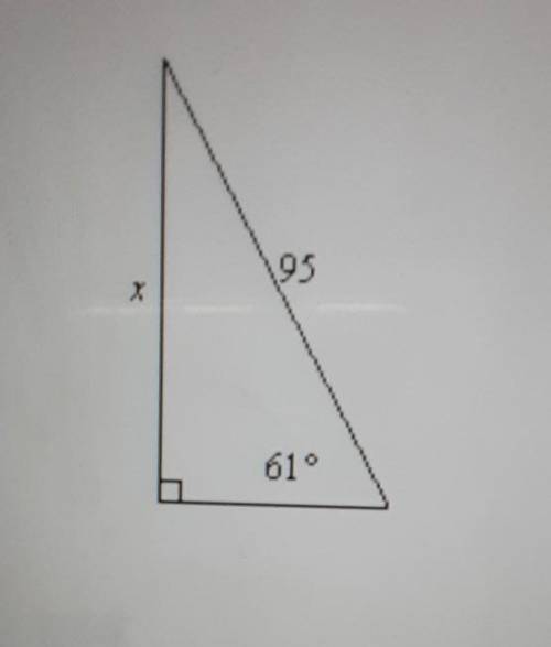 Find the height of the triangle.​