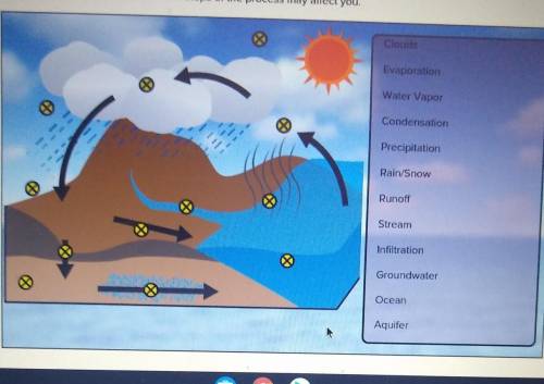 Illustrate the water cycle.include a paragraph summary of the water cycle process. ​