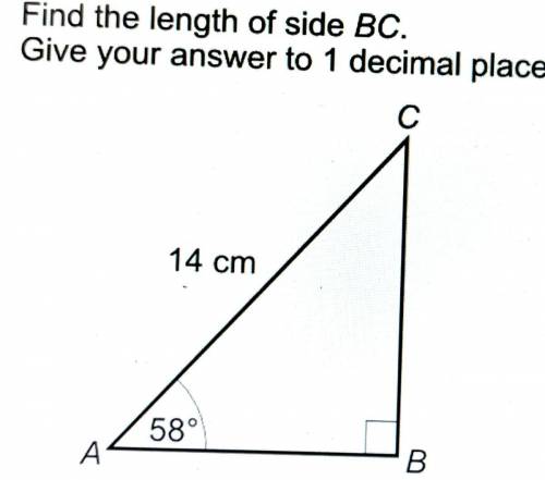 Find the length of side BC.

Give your answer to 1 decimal plac
C
14 cm
58°
A
B.