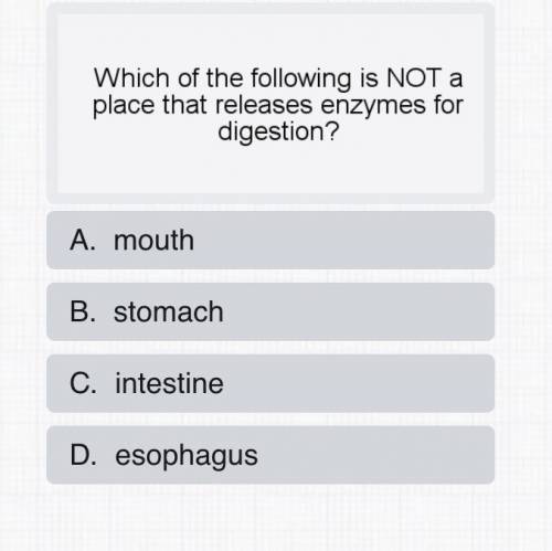 Which of the following is NOT a place that releases enzymes for digestion?