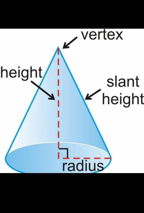Which label on the cone below represents the radius?