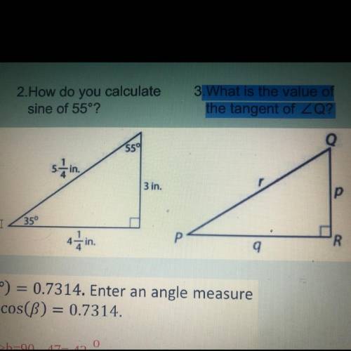I am desperate for help someone please… (the two questions with the triangles I BEG).