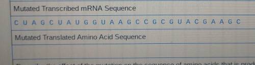 Mutated Transcribed mRNA Sequence

C U A G C U A U G G U A A G C C G C G U A C G A A G C Mutated T