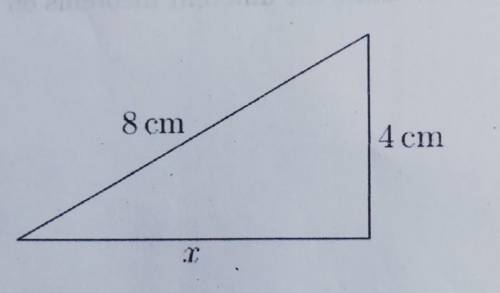 Use the pythagorean theorem to find the value of x.​