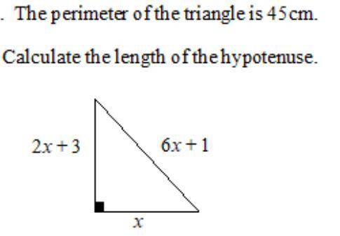 Can someone help?

The perimeter of the triangle is 45cm.Calculate the length of the hypotenuse.