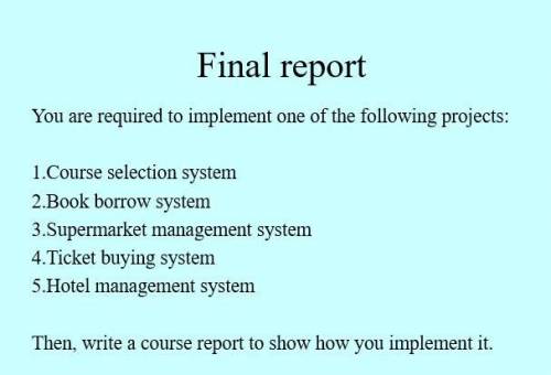 Help me with my final report plz