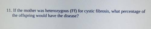 11. If the mother was heterozygous (Ff) for cystic fibrosis, what percentage of the offspring would