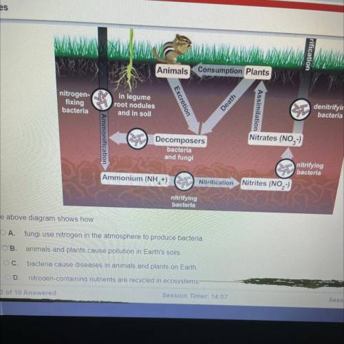 The above diagram shows how

OA.
fungi use nitrogen in the atmosphere to produce bacteria.
OB.
ani