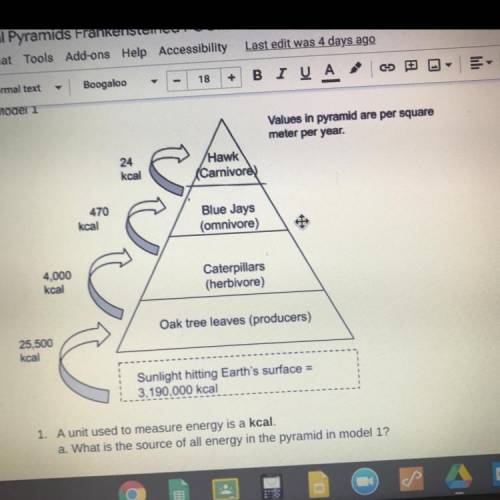 What is the source of all energy in the pyramid in model 1?