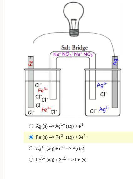Which of the following represents the oxidation half reaction for the battery set up below?