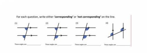 For each question Right either corresponding on a corresponding on the￼ line