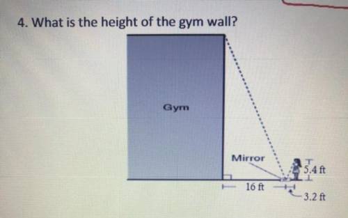 What is the height of the gym wall?