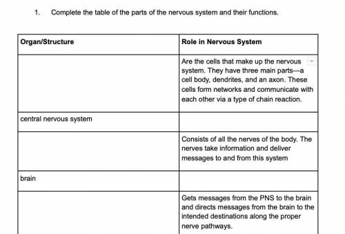 BIOLOGY HELP PLEASE, no links!!

Complete the table of the parts of the nervous system and their f