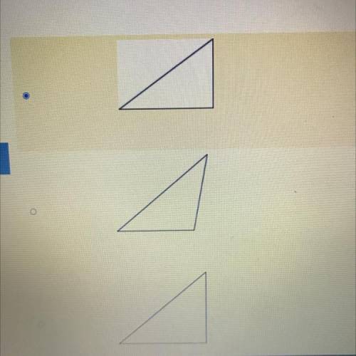 Which triangle has angle measures of 40 , 50 , and 90?
