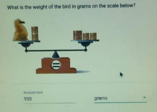 What is the weight of the bird in grams on the scale below? I think the answer is 100 grams ​