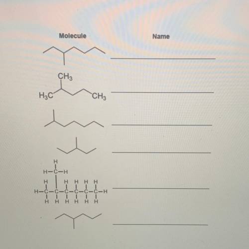 D. Write the name of the branched alkane next to the drawing of the molecule. (2 points)