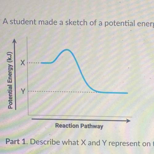 A student made a sketch of a potential energy diagram to represent an exothermic reaction.

Potent