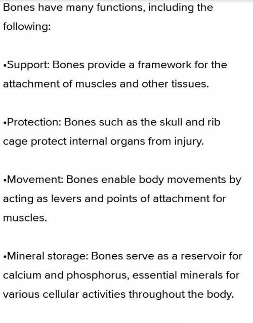Write down any two functions of bone?​
