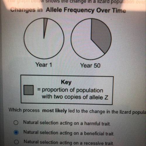 The graph below shows the change in a lizard population over time.

Changes in Allele Frequency Ov