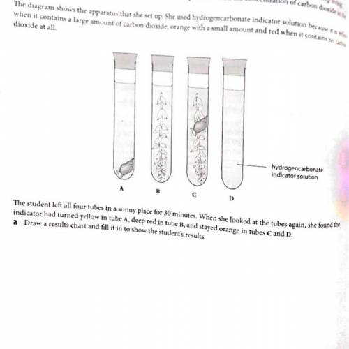 b Explain the results in each tube. (Remember that living organisms all respire all the time, and t