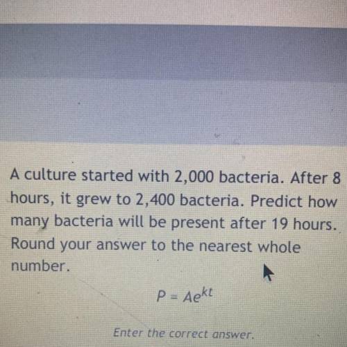 A culture started with 2,000 bacteria. After 8

hours, it grew to 2,400 bacteria. Predict how
many