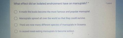 What effect did an isolated environment have on marsupials? *

It made the koala become the most f