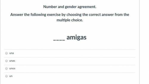Number and gender agreement.