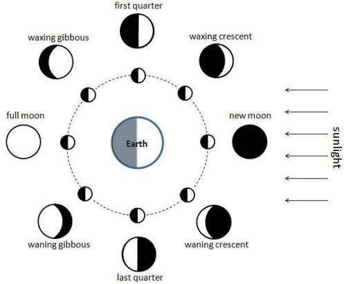 Look at the diagram of the lunar phases. In the space below, explain why there are lunar phases.