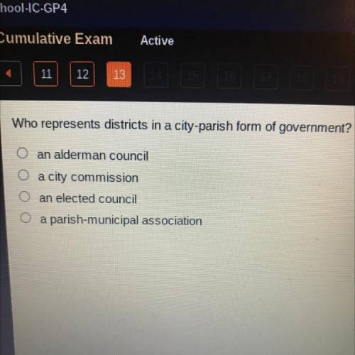 Who represents districts in a city-parish form of government?

A. an alderman council
B. a city co