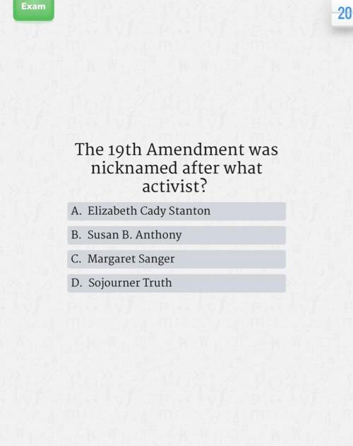 The 19th amendment was nicknamed after what activist?