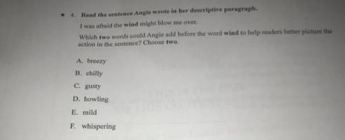 Read the sentence Angie Wrote in her descriptive paragraph Choose two.