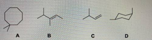Name these compounds.