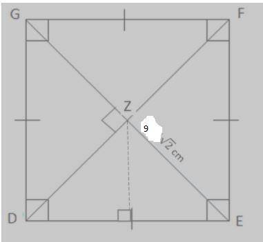 What is the Perimeter of the Square?
What is the area of the Square?