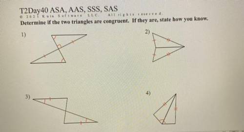 Please help me with this question. I don’t know how there congruent.