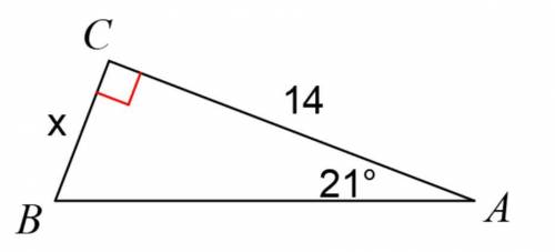 Find the measure of the side indicated
