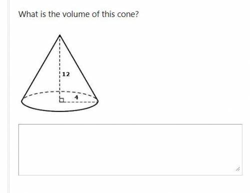 What is the volume of the cone shown in the picture?