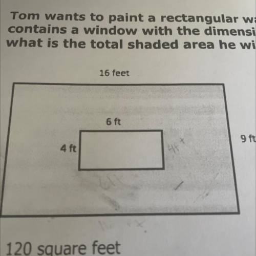 Tom wants to paint a rectangular wall that measures 16 feet by 9 feet. The wall contains a window w