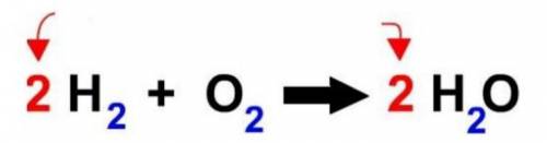 Below is a chemical equation. Which of the following are identified by the red arrows?

Captionles
