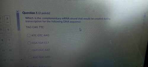 Please Help!!! Will give points to best answer Which is the complimentary mRNA strand that would be